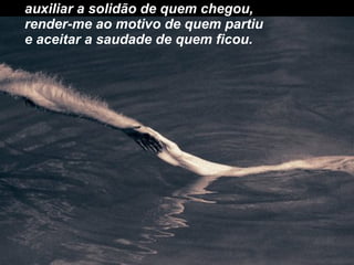 auxiliar a solidão de quem chegou, render-me ao motivo de quem partiu e aceitar a saudade de quem ficou. 