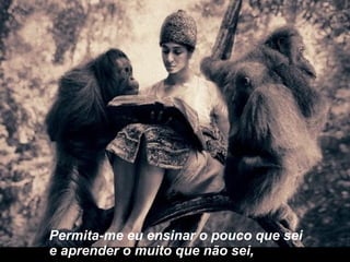 Permita-me eu ensinar o pouco que sei e aprender o muito que não sei, 