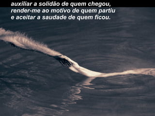 auxiliar a solidão de quem chegou, render-me ao motivo de quem partiu e aceitar a saudade de quem ficou. 