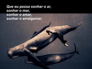 Que eu possa sonhar o ar, sonhar o mar, sonhar o amar, sonhar o amalgamar. 