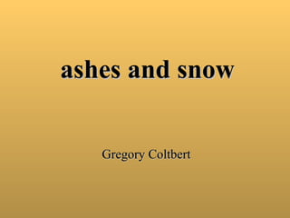 ashes and snow Gregory Coltbert 