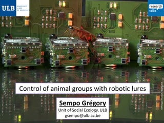 Sempo Grégory

Unit of Social Ecology, ULB
gsempo@ulb.ac.be

©Philippe PLAILLY / EURELIOS

Control of animal groups with robotic lures

 