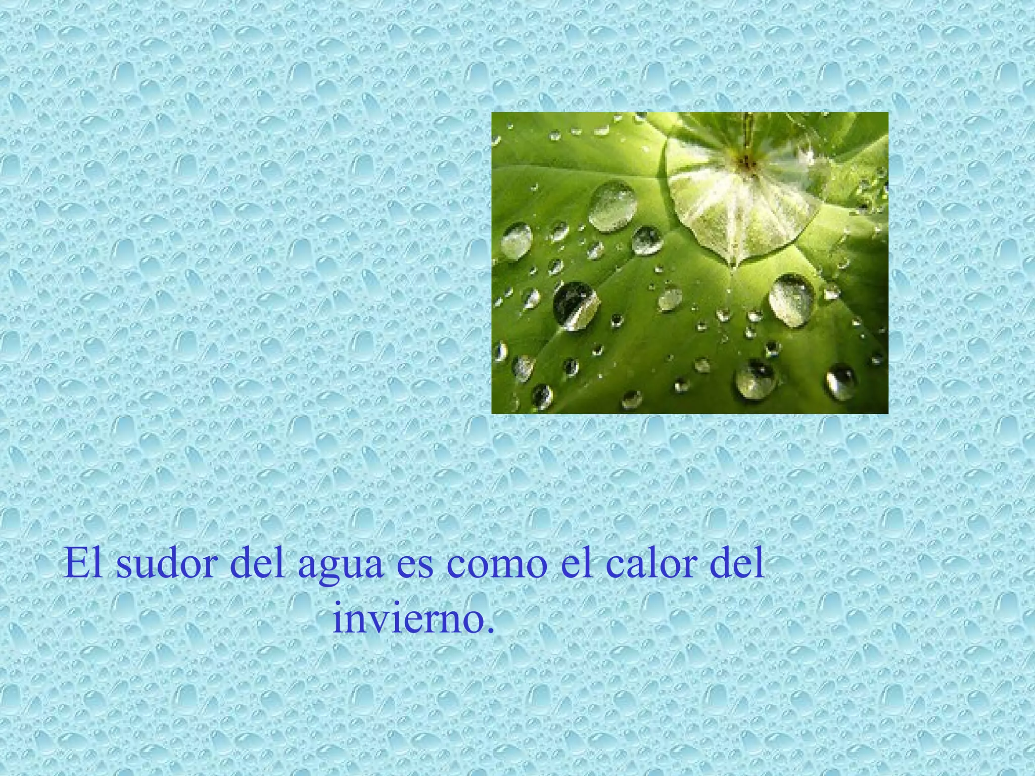 El sudor del agua es como el calor del invierno.