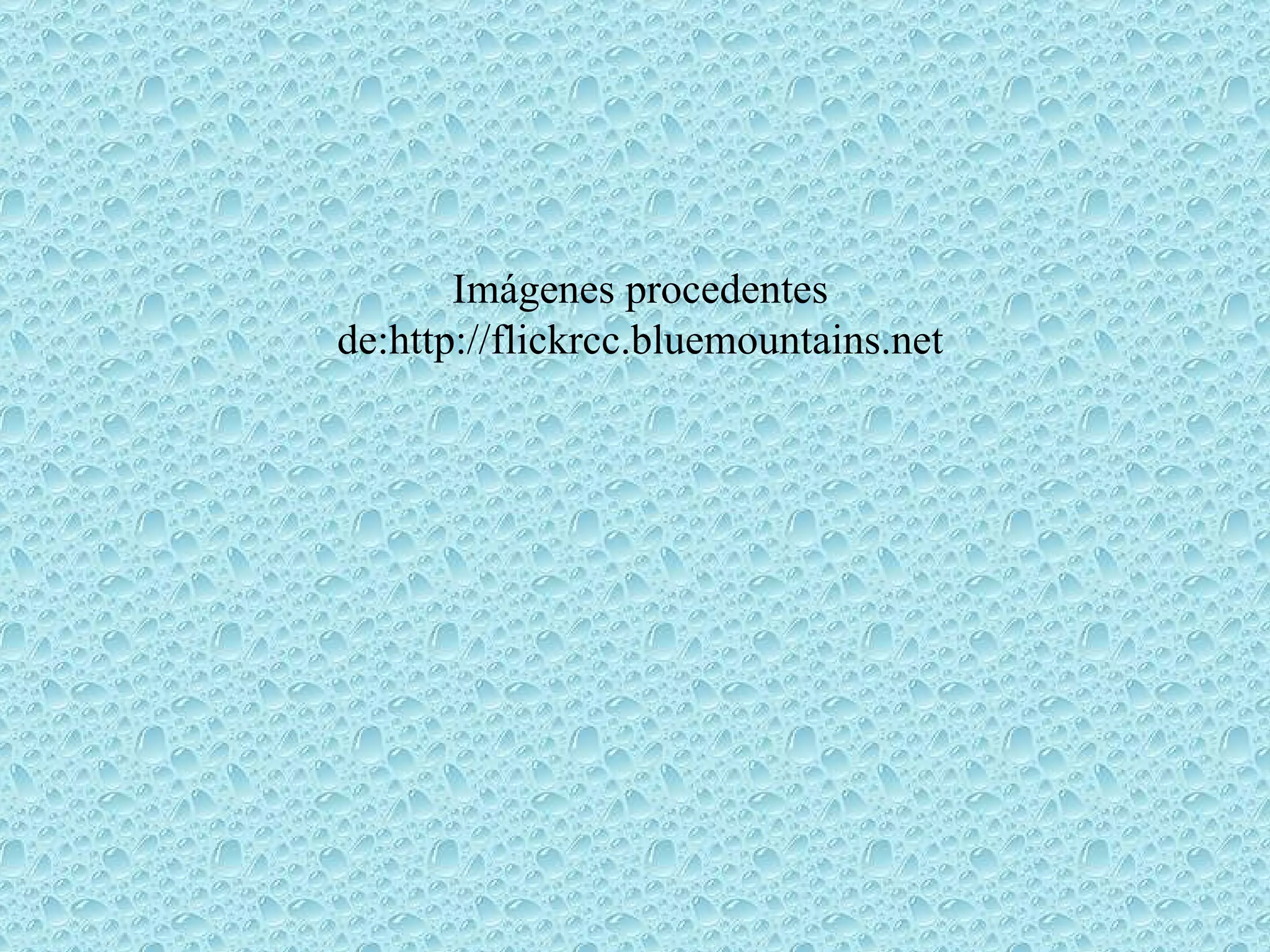 Imágenes procedentes de: http://flickrcc.bluemountains.net