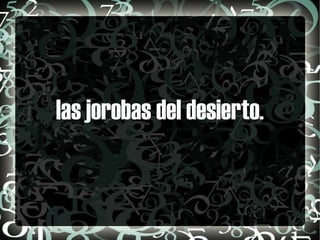 las jorobas del desierto. 