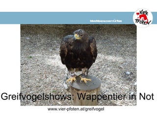 Greifvogelshows: Wappentier in Not www.vier-pfoten.at/greifvogel     Mehr Menschlichkeit für Tiere 
