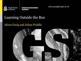 Learning Outside the Box
Alison Greig and Julian Priddle
alison.greig@anglia.ac.uk
 