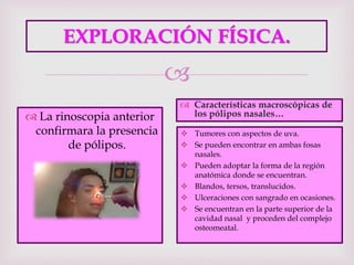 
EXPLORACIÓN FÍSICA.
 Tumores con aspectos de uva.
 Se pueden encontrar en ambas fosas
nasales.
 Pueden adoptar la forma de la región
anatómica donde se encuentran.
 Blandos, tersos, translucidos.
 Ulceraciones con sangrado en ocasiones.
 Se encuentran en la parte superior de la
cavidad nasal y proceden del complejo
osteomeatal.
 La rinoscopia anterior
confirmara la presencia
de pólipos.
 Características macroscópicas de
los pólipos nasales…
 