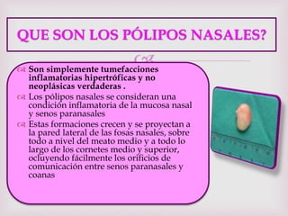 
QUE SON LOS PÓLIPOS NASALES?
 Son simplemente tumefacciones
inflamatorias hipertróficas y no
neoplásicas verdaderas .
 Los pólipos nasales se consideran una
condición inflamatoria de la mucosa nasal
y senos paranasales
 Estas formaciones crecen y se proyectan a
la pared lateral de las fosas nasales, sobre
todo a nivel del meato medio y a todo lo
largo de los cornetes medio y superior,
ocluyendo fácilmente los orificios de
comunicación entre senos paranasales y
coanas
 