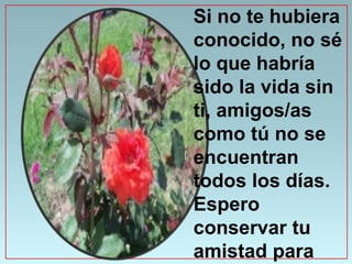 Si no te hubiera
conocido, no sé
lo que habría
sido la vida sin
ti, amigos/as
como tú no se
encuentran
todos los días.
Espero
conservar tu
amistad para
 