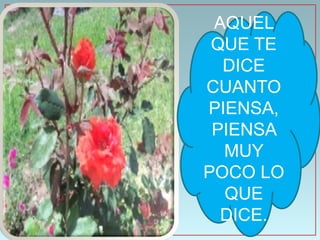 AQUEL
 QUE TE
  DICE
CUANTO
PIENSA,
 PIENSA
  MUY
POCO LO
  QUE
  DICE.
 