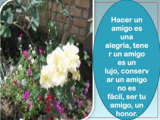 Hacer un
  amigo es
      una
alegría, tene
 r un amigo
    es un
lujo, conserv
 ar un amigo
    no es
 fácil, ser tu
  amigo, un
    honor.
 