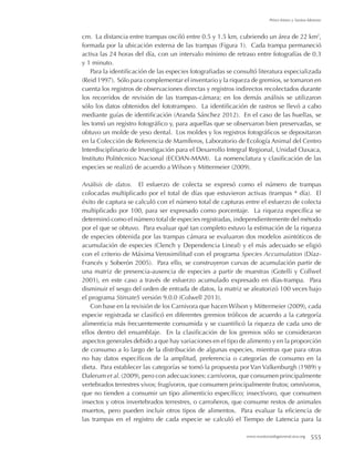 www.mastozoologiamexicana.org 555
Pérez-Irineo y Santos-Moreno
cm. La distancia entre trampas osciló entre 0.5 y 1.5 km, cubriendo un área de 22 km2
,
formada por la ubicación externa de las trampas (Figura 1). Cada trampa permaneció
activa las 24 horas del día, con un intervalo mínimo de retraso entre fotografías de 0.3
y 1 minuto.
Para la identificación de las especies fotografiadas se consultó literatura especializada
(Reid 1997). Sólo para complementar el inventario y la riqueza de gremios, se tomaron en
cuenta los registros de observaciones directas y registros indirectos recolectados durante
los recorridos de revisión de las trampas-cámara; en los demás análisis se utilizaron
sólo los datos obtenidos del fototrampeo. La identificación de rastros se llevó a cabo
mediante guías de identificación (Aranda Sánchez 2012). En el caso de las huellas, se
les tomó un registro fotográfico y, para aquellas que se observaron bien preservadas, se
obtuvo un molde de yeso dental. Los moldes y los registros fotográficos se depositaron
en la Colección de Referencia de Mamíferos, Laboratorio de Ecología Animal del Centro
Interdisciplinario de Investigación para el Desarrollo Integral Regional, Unidad Oaxaca,
Instituto Politécnico Nacional (ECOAN-MAM). La nomenclatura y clasificación de las
especies se realizó de acuerdo a Wilson y Mittermeier (2009).
Análisis de datos. El esfuerzo de colecta se expresó como el número de trampas
colocadas multiplicado por el total de días que estuvieron activas (trampas * día). El
éxito de captura se calculó con el número total de capturas entre el esfuerzo de colecta
multiplicado por 100, para ser expresado como porcentaje. La riqueza específica se
determinó como el número total de especies registradas, independientemente del método
por el que se obtuvo. Para evaluar qué tan completo estuvo la estimación de la riqueza
de especies obtenida por las trampas cámara se evaluaron dos modelos asintóticos de
acumulación de especies (Clench y Dependencia Lineal) y el más adecuado se eligió
con el criterio de Máxima Verosimilitud con el programa Species Accumulation (Díaz-
Francés y Soberón 2005). Para ello, se construyeron curvas de acumulación partir de
una matriz de presencia-ausencia de especies a partir de muestras (Gotelli y Collwel
2001), en este caso a través de esfuerzo acumulado expresado en días-trampa. Para
disminuir el sesgo del orden de entrada de datos, la matriz se aleatorizó 100 veces bajo
el programa StimateS versión 9.0.0 (Colwell 2013).
Con base en la revisión de los Carnivora que hacen Wilson y Mittermeier (2009), cada
especie registrada se clasificó en diferentes gremios tróficos de acuerdo a la categoría
alimenticia más frecuentemente consumida y se cuantificó la riqueza de cada uno de
ellos dentro del ensamblaje. En la clasificación de los gremios sólo se consideraron
aspectos generales debido a que hay variaciones en el tipo de alimento y en la proporción
de consumo a lo largo de la distribución de algunas especies, mientras que para otras
no hay datos específicos de la amplitud, preferencia o categorías de consumo en la
dieta. Para establecer las categorías se tomó la propuesta por Van Valkenburgh (1989) y
Dalerum et al. (2009), pero con adecuaciones: carnívoros, que consumen principalmente
vertebrados terrestres vivos; frugívoros, que consumen principalmente frutos; omnívoros,
que no tienden a consumir un tipo alimenticio específico; insectívoro, que consumen
insectos y otros invertebrados terrestres, o carroñeros, que consume restos de animales
muertos, pero pueden incluir otros tipos de alimentos. Para evaluar la eficiencia de
las trampas en el registro de cada especie se calculó el Tiempo de Latencia para la
 