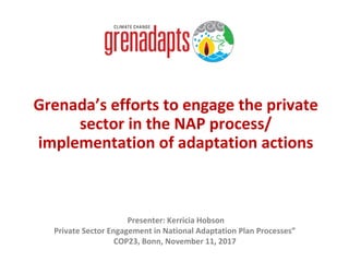 Grenada’s efforts to engage the private
sector in the NAP process/
implementation of adaptation actions
Presenter: Kerricia Hobson
Private Sector Engagement in National Adaptation Plan Processes”
COP23, Bonn, November 11, 2017
 