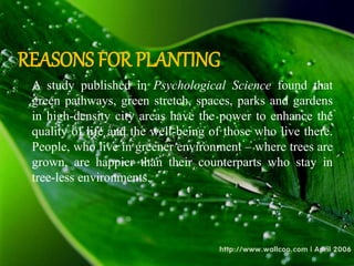 REASONS FOR PLANTING
A study published in Psychological Science found that
green pathways, green stretch, spaces, parks and gardens
in high-density city areas have the power to enhance the
quality of life and the well-being of those who live there.
People, who live in greener environment – where trees are
grown, are happier than their counterparts who stay in
tree-less environments.
 