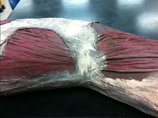 Grendel’s Arm 3: Painting