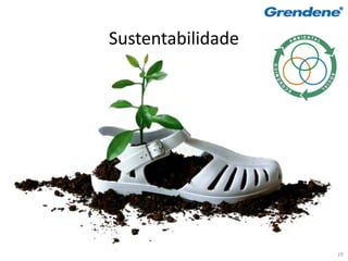 Sustentabilidade




                   19
 