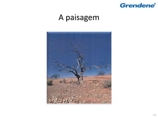 A paisagem




             23
 