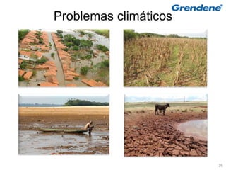 Problemas climáticos




                       26
 
