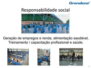 Responsabilidade social




Geração de empregos e renda, alimentação saudável,
  Treinamento / capacitação profissional e saúde.




                                                 28
 