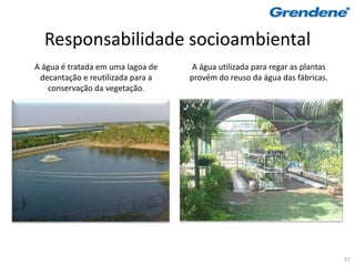 Responsabilidade socioambiental
A água é tratada em uma lagoa de    A água utilizada para regar as plantas
 decantação e reutilizada para a   provém do reuso da água das fábricas.
   conservação da vegetação.




                                                                             31
 