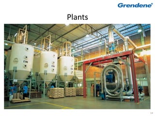 Plants




         14
 