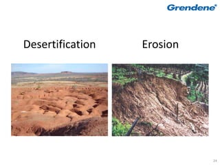 Desertification   Erosion




                            24
 