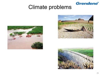 Climate problems




                   25
 