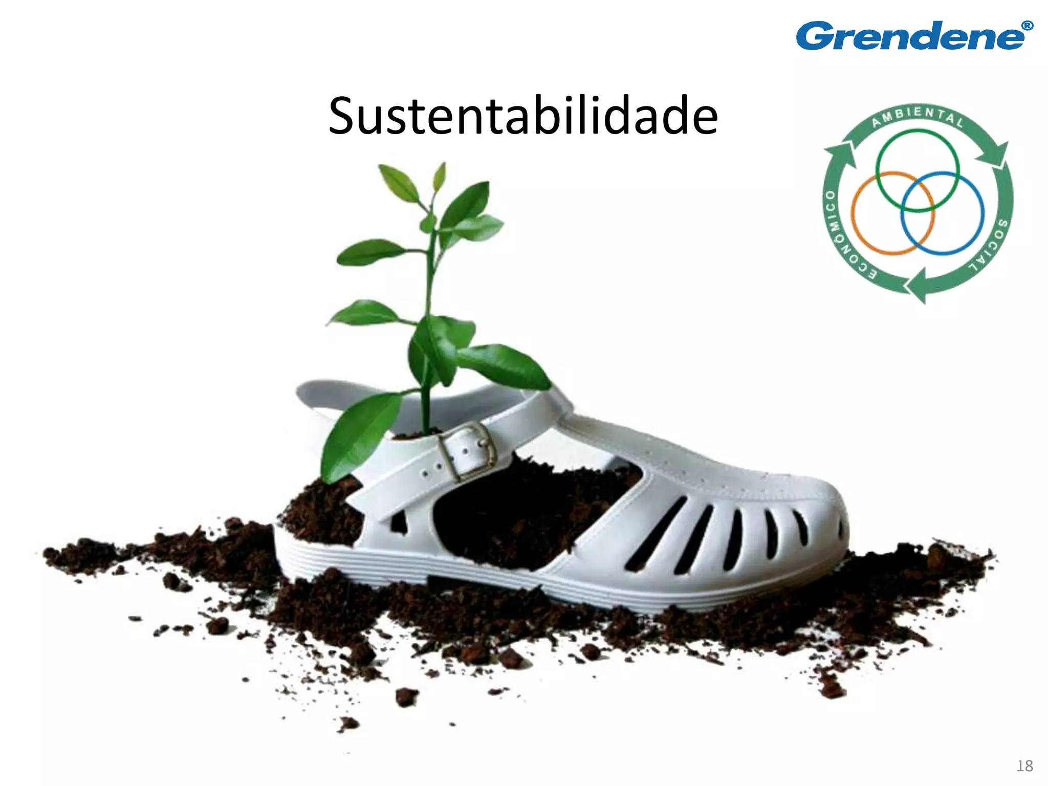 Sustentabilidade




                   18
 