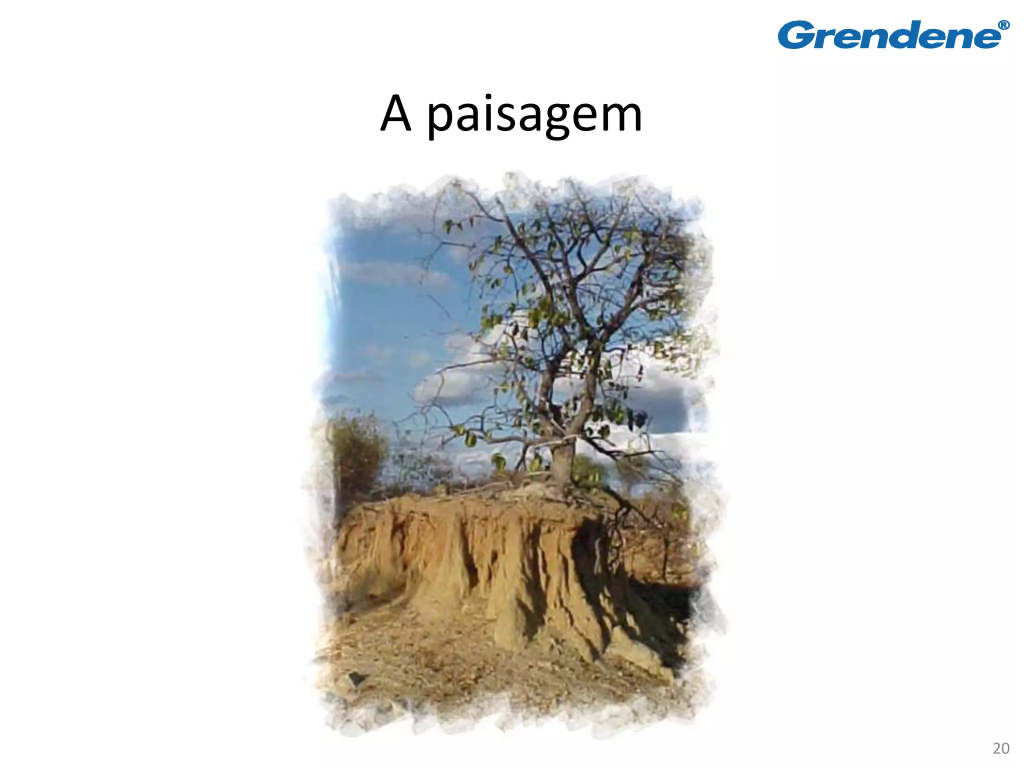 A paisagem




             20
 