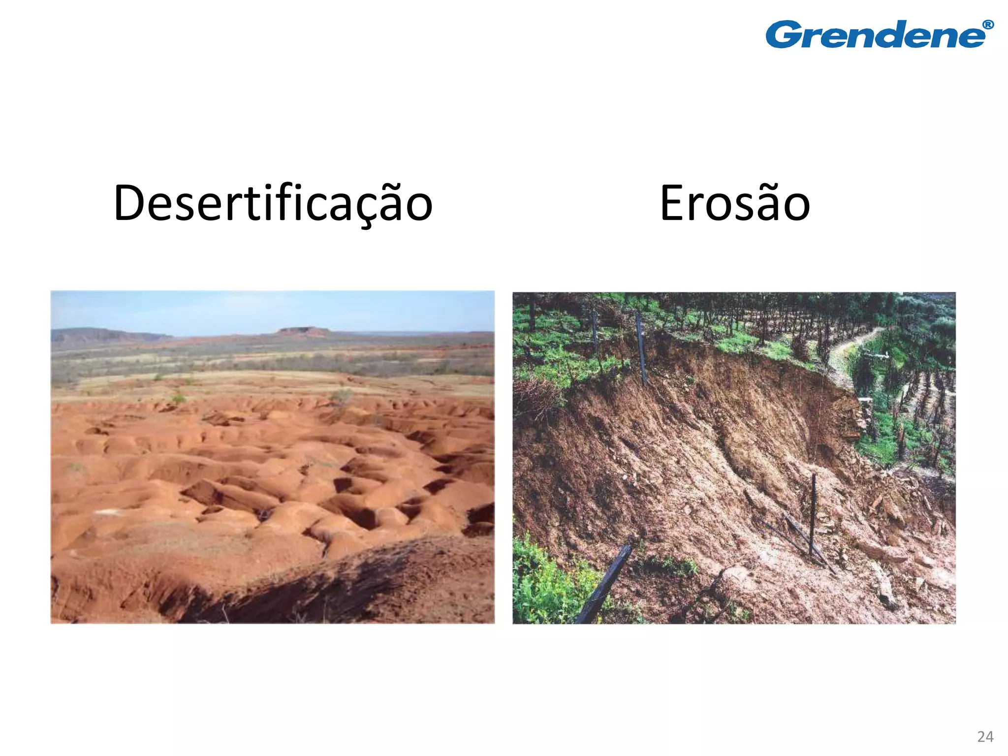 Desertificação   Erosão




                          24
 