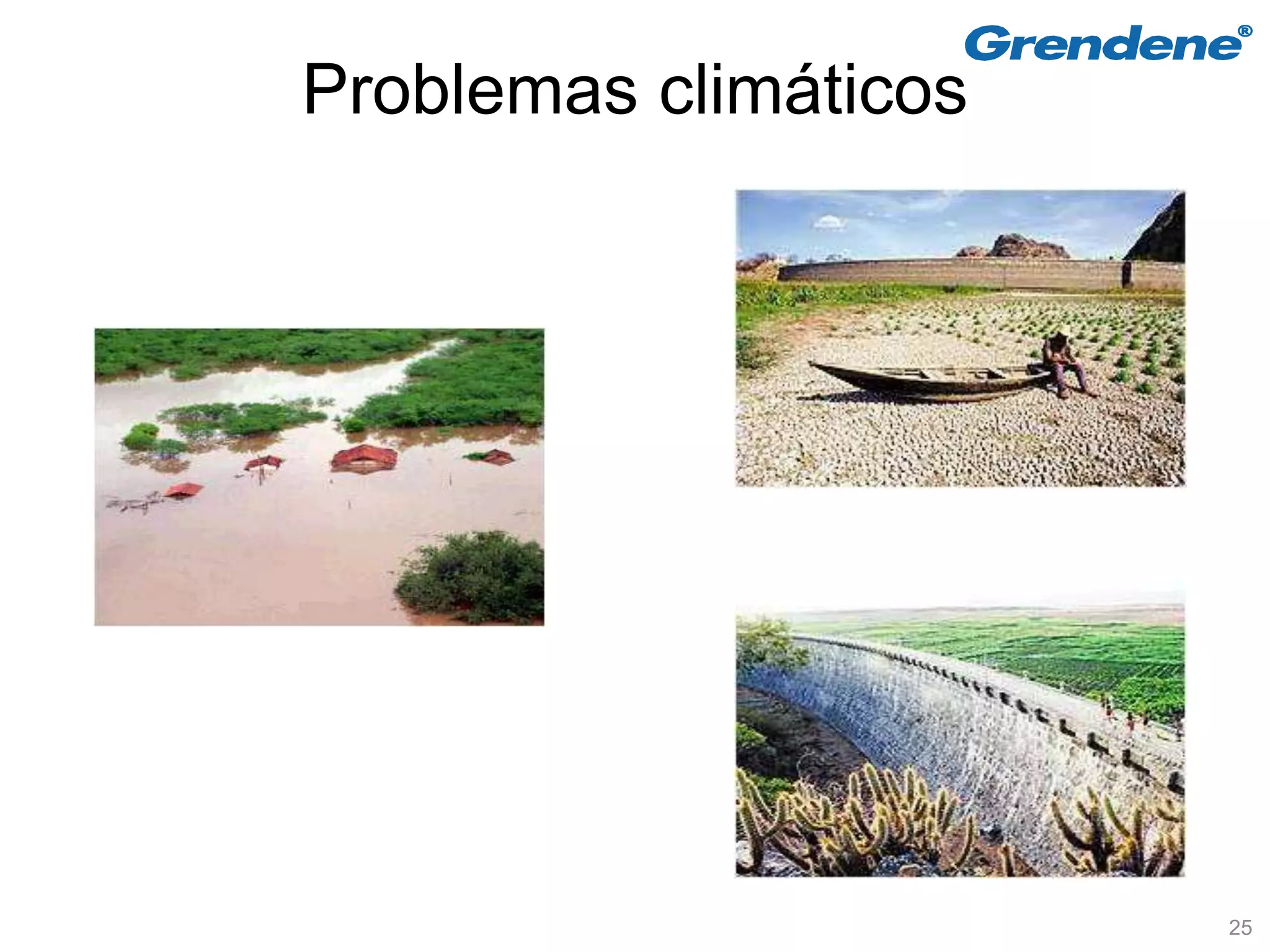 Problemas climáticos




                       25
 