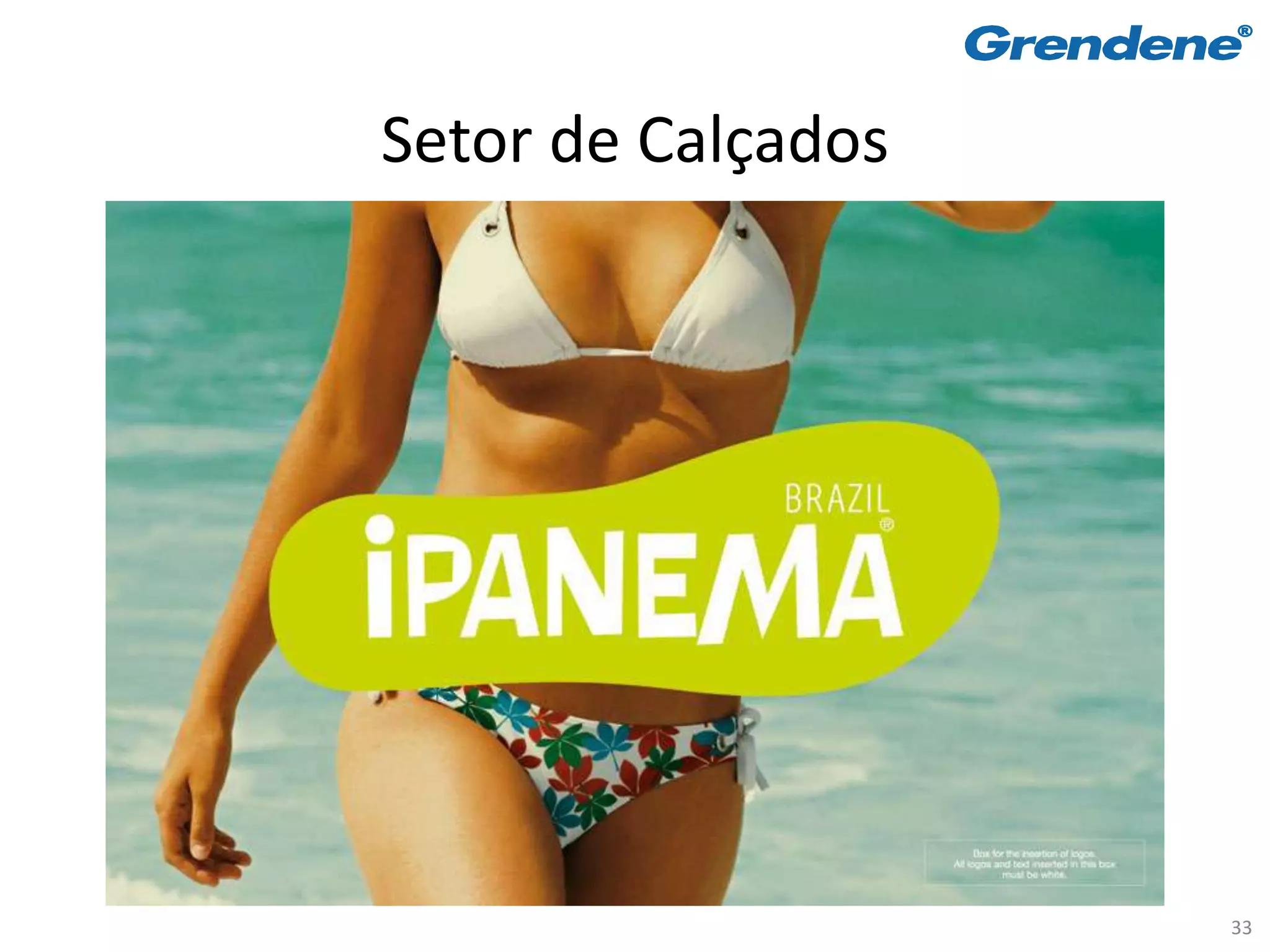 Setor de Calçados




                    33
 