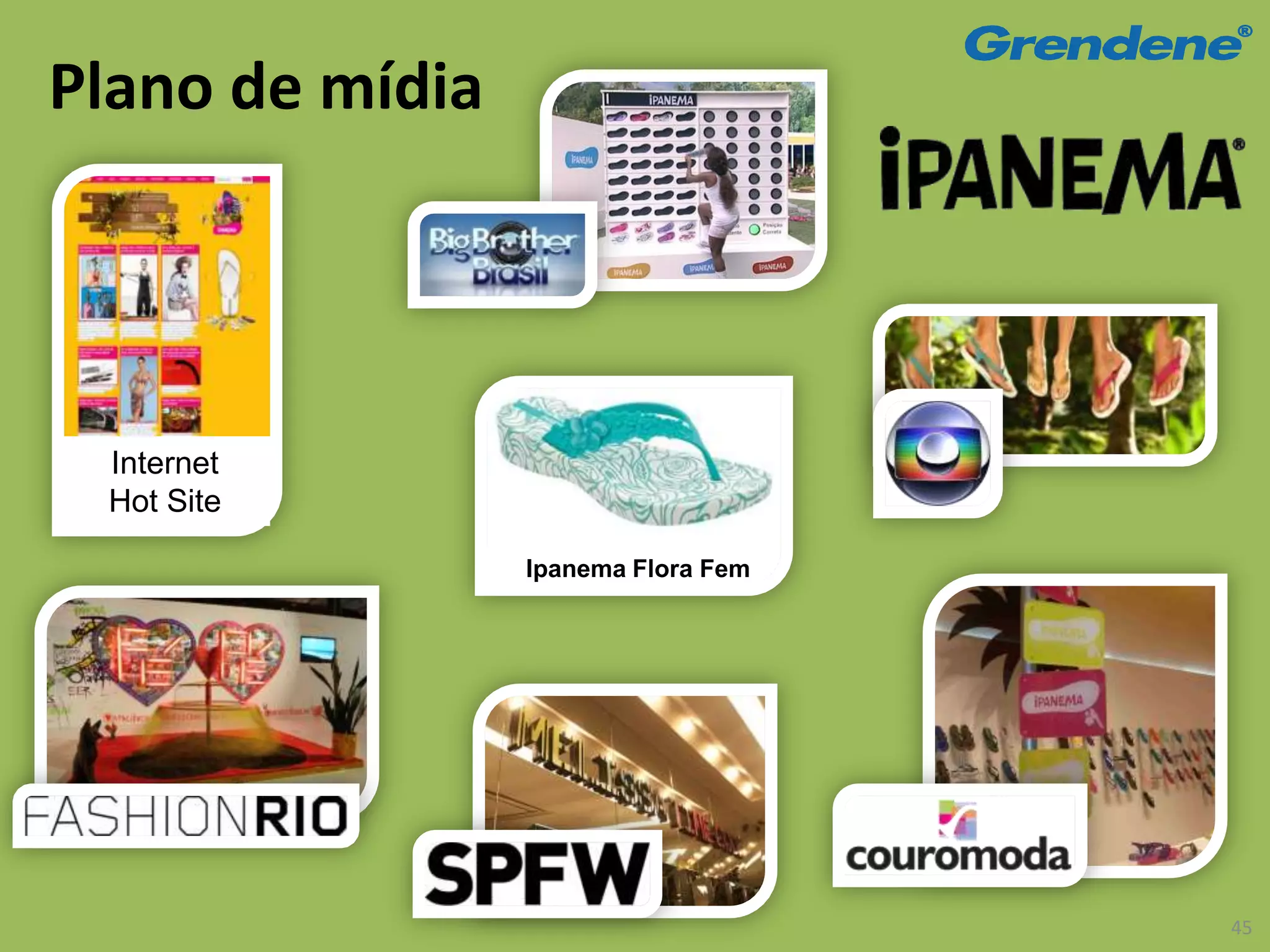 Plano de mídia




 Internet
 Hot Site

                 Ipanema Flora Fem




                                     45
 
