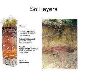 Soil layers 