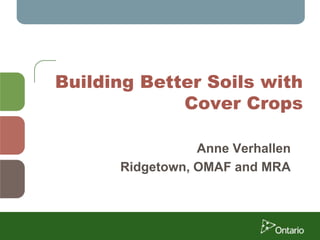 Building Better Soils with
Cover Crops
Anne Verhallen
Ridgetown, OMAF and MRA
 