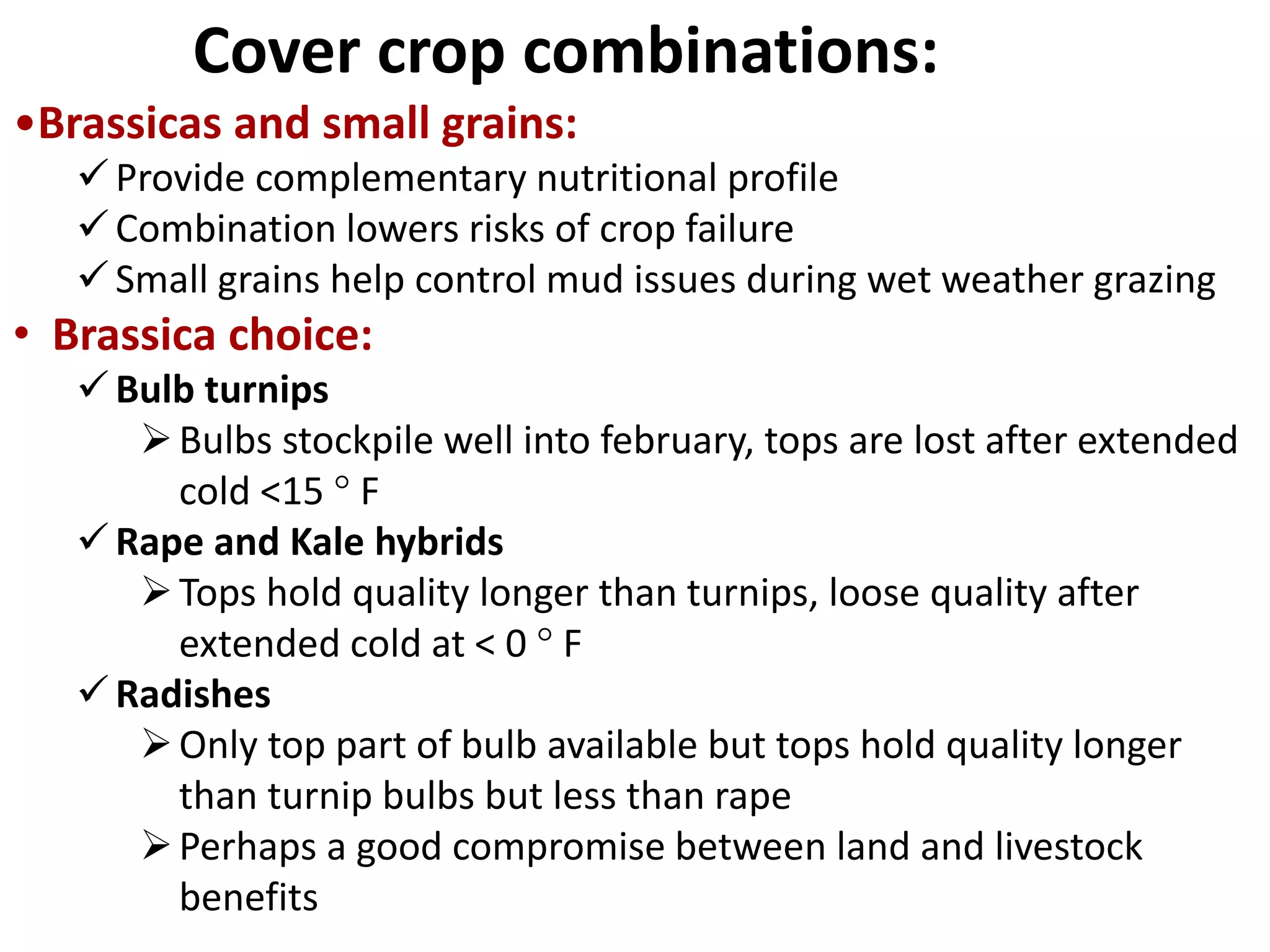 •Brassicas and small grains:
Provide complementary nutritional profile
Combination lowers risks of crop failure
Small grains help control mud issues during wet weather grazing
• Brassica choice:
Bulb turnips
Bulbs stockpile well into february, tops are lost after extended
cold <15 ° F
Rape and Kale hybrids
Tops hold quality longer than turnips, loose quality after
extended cold at < 0 ° F
Radishes
Only top part of bulb available but tops hold quality longer
than turnip bulbs but less than rape
Perhaps a good compromise between land and livestock
benefits
Cover crop combinations:
 