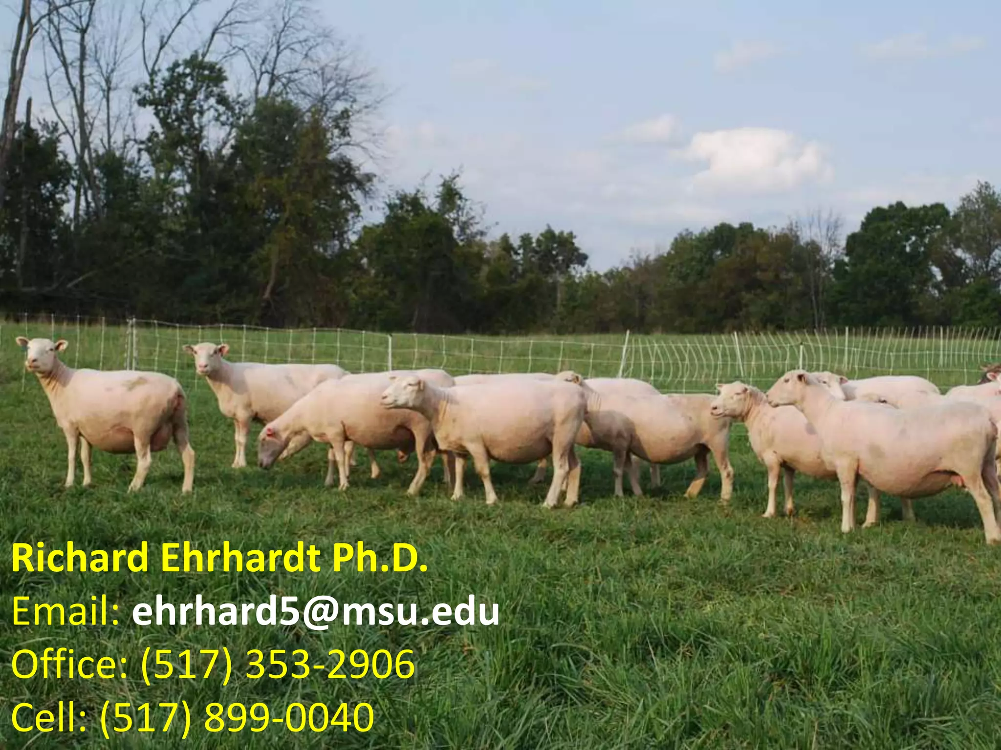 Richard Ehrhardt Ph.D.
Email: ehrhard5@msu.edu
Office: (517) 353-2906
Cell: (517) 899-0040
 