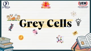 Grey Cells
 