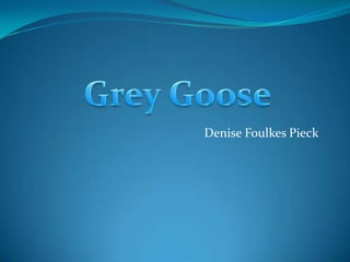 Denise Foulkes Pieck Grey Goose 