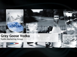 Grey Goose Vodka Hydra Marketing Group 