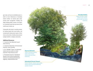 From Grey to Green | PDF