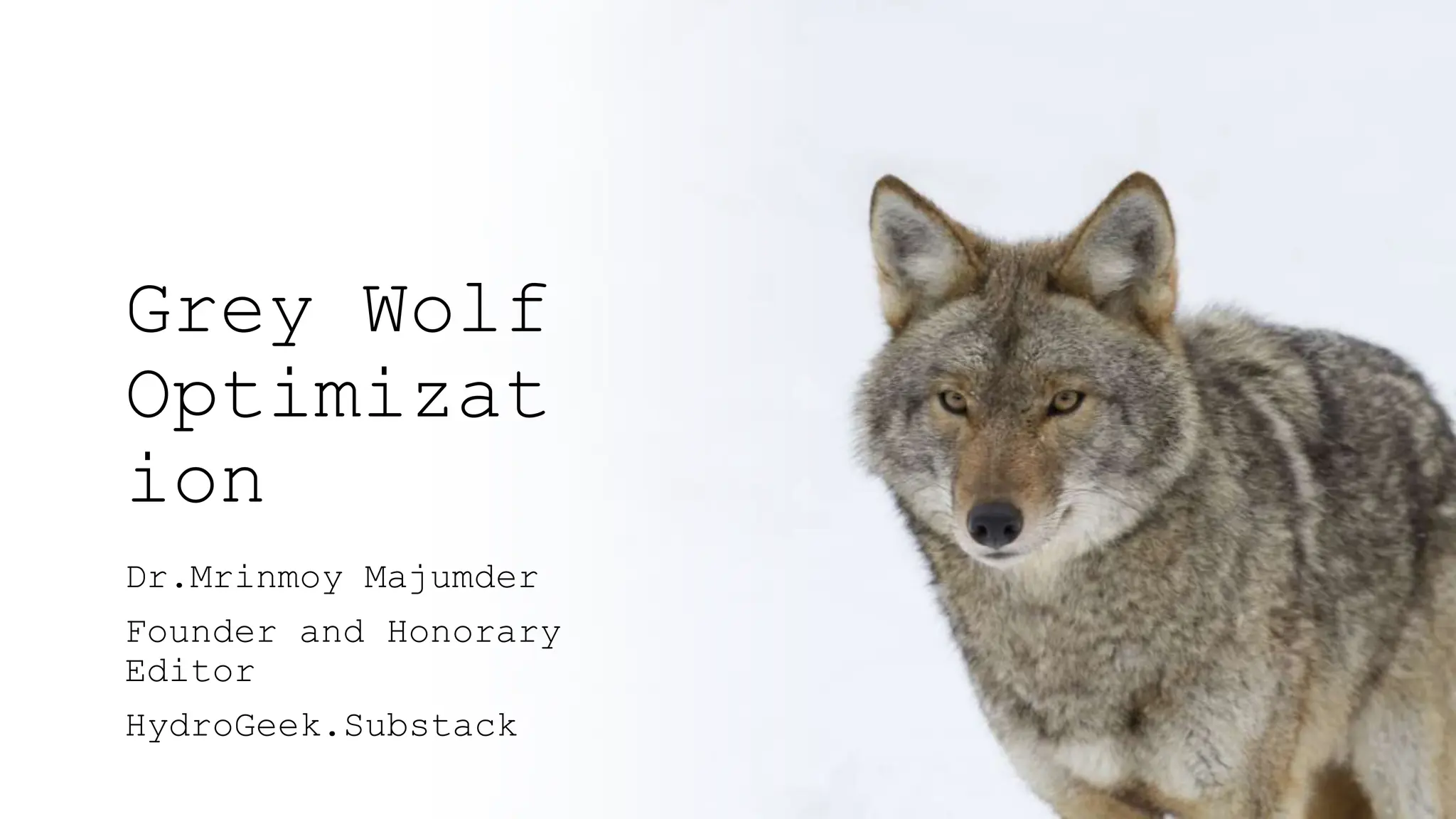 Lecture on Grey Wolf Optimization Techniques | PPT