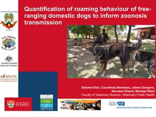 Quantification of roaming behaviour of free-
ranging domestic dogs to inform zoonosis
transmission
Faculty of Veterinary Science, Veterinary Public Health
Salome Dürr, Courtenay Bombara, Jaime Gongora,
Navneet Dhand, Michael Ward
 