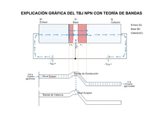 Emisor (E)Base (B)Colector(C)638662396191EXPLICACIÓN GRÁFICA DEL TBJ NPN CON TEORÍA DE BANDAS<br />