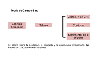 Estímulo
Emocional
Tálamo
Excitación del SNA
Teoría de Cannon-Bard
El tálamo libera la excitación, la conducta y la experiencia emocionales, las
cuales son prácticamente simultáneas
Conducta
Sentimientos de la
emoción