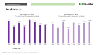 Estudios Económicos
Rendimiento
Fuente: Boletín Estadístico Mensual El Agro en Cifras (MIDAGRI).
124.7
113.5
121.2
113.7
126.1
122.5
117.0 116.0
201
5 201
6 201
7 201
8 201
9 2020 2021 2022*
Rendimiento de Campo
Promedio Anual [Toneladas por Hectárea]
126.7
116.6
131.8
115.3
128.3
124.3
128.7
131.8
Jun1
5 Jun1
6 Jun1
7 Jun1
8 Jun1
9 Jun20 Jun21 Jun22*
Rendimiento de Campo
Promedio Mensual [Toneladaspor Hectárea]
(*) Hasta Junio
 