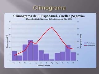 Climograma de El Espadañal- Cuéllar (Segovia)
                                       Datos: Instituto Nacional de Meteorología Año 1996
                   30                                                                              60



                   25                                                                              50



                   20                                                                              40




                                                                                                        Precipitación (mm)
Temperatura (ºC)




                   15                                                                              30
                                                                                                                             Precipitación
                                                                                                                             Temperatura
                   10                                                                              20



                    5                                                                              10



                    0                                                                              0
                        En   Fb   Mr      Ab    My       Jn      Jl       Ag   Sp   Oc   No   Di
                                                     Meses del año 1996
 
