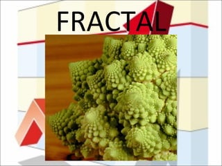 FRACTAL 