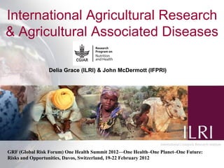 International Agricultural Research
& Agricultural Associated Diseases

                 Delia Grace (ILRI) & John McDermott (IFPRI)




GRF (Global Risk Forum) One Health Summit 2012—One Health–One Planet–One Future:
Risks and Opportunities, Davos, Switzerland, 19-22 February 2012                 1
 